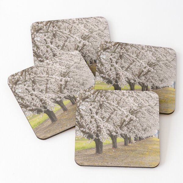 Item preview, Blooming Almonds designed and sold by jvnimages.