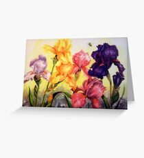 Glorious Irises Greeting Card
