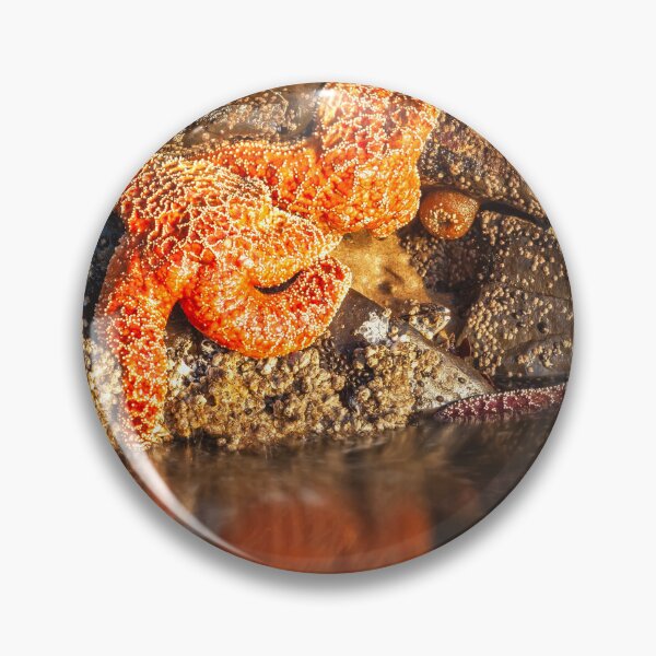 Item preview, Stranded designed and sold by jvnimages.
