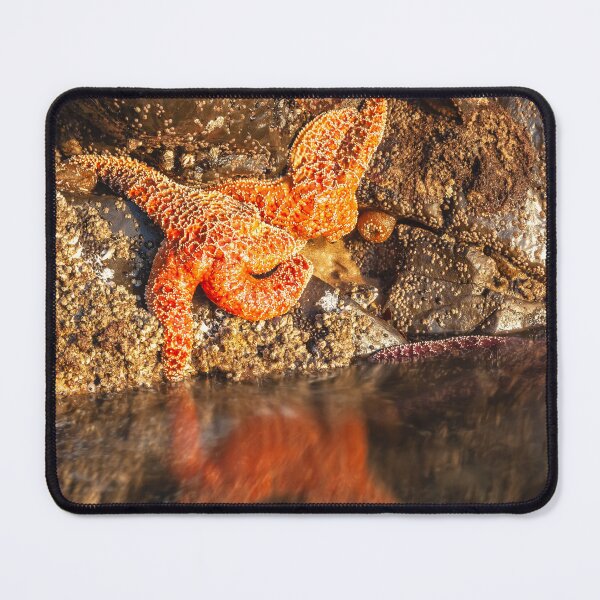 Item preview, Stranded designed and sold by jvnimages.