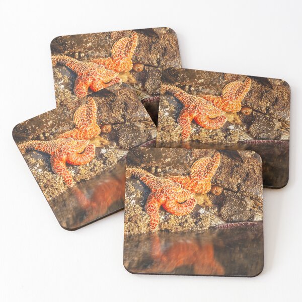 Item preview, Stranded designed and sold by jvnimages.