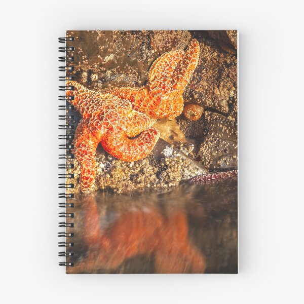 Item preview, Stranded designed and sold by jvnimages.
