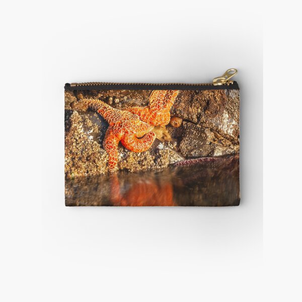Item preview, Stranded designed and sold by jvnimages.