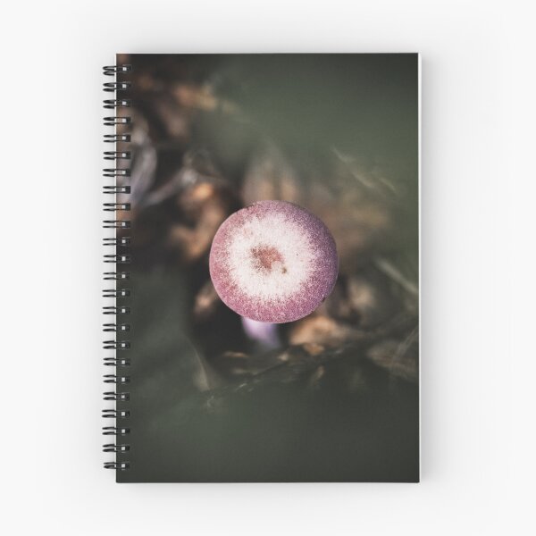 Item preview, Amethyst Deceiver From Above designed and sold by Karrakunga.