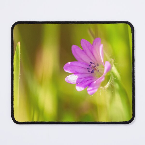 Item preview, purple designed and sold by jvnimages.