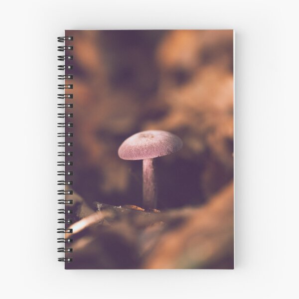 Item preview, Amethyst Deceiver designed and sold by Karrakunga.