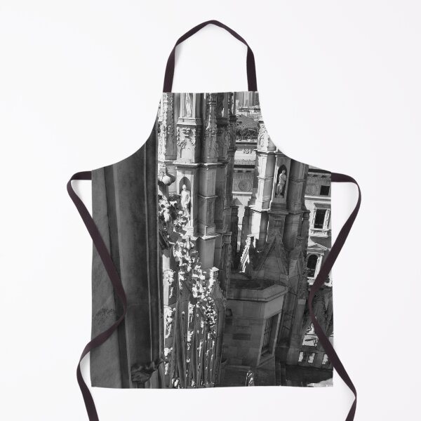 Item preview, Duomo Roof's Steeples, Milano. designed and sold by Igor Pozdnyakov.