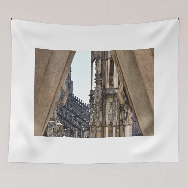 Aperçu de l'œuvre Embrasure du Duomo Roof, Milan. créée et vendue par Igor Pozdnyakov.