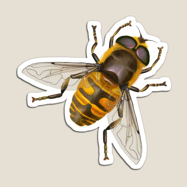 Aperçu de l'œuvre Hoverfly créée et vendue par birdsandworms.