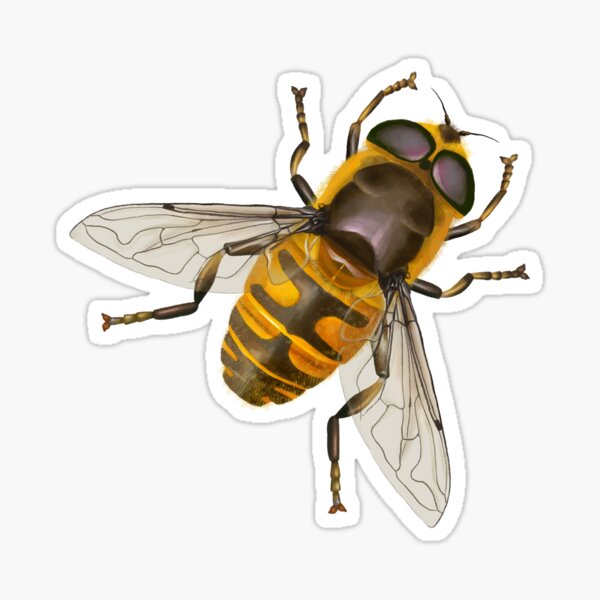 Item preview, Hoverfly designed and sold by birdsandworms.