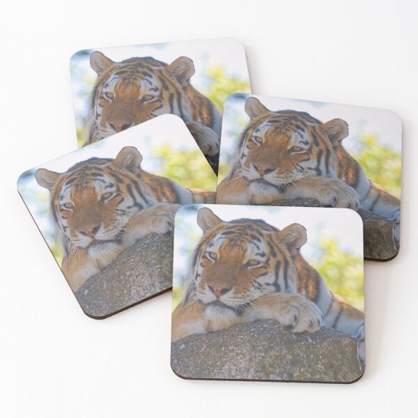 Item preview, Tiger relaxing on a stone designed and sold by Willbadmanphoto.