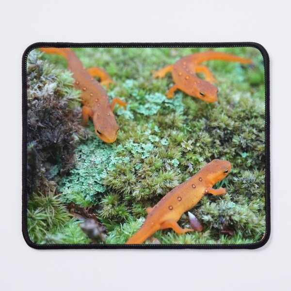 Item preview, A meeting of the newts designed and sold by BogsuckerDesign.