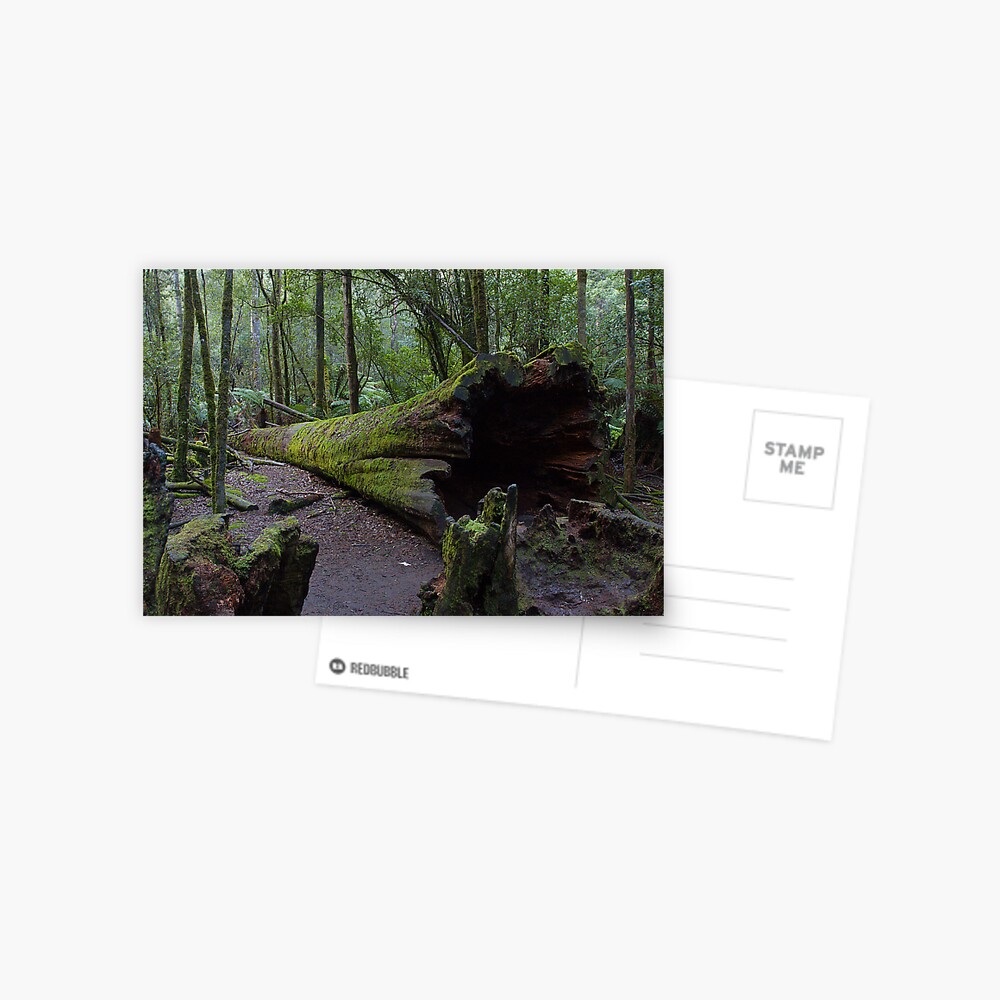 Item preview, Postcard designed and sold by Rambo.