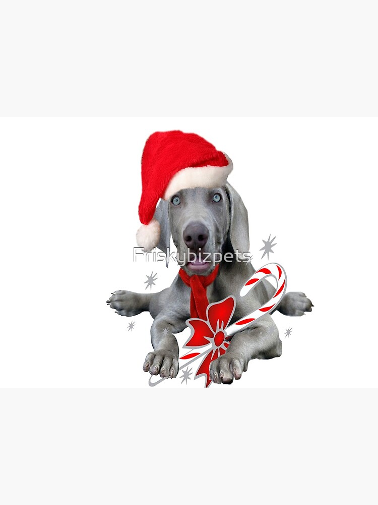 Weimaraner apparel hot sale