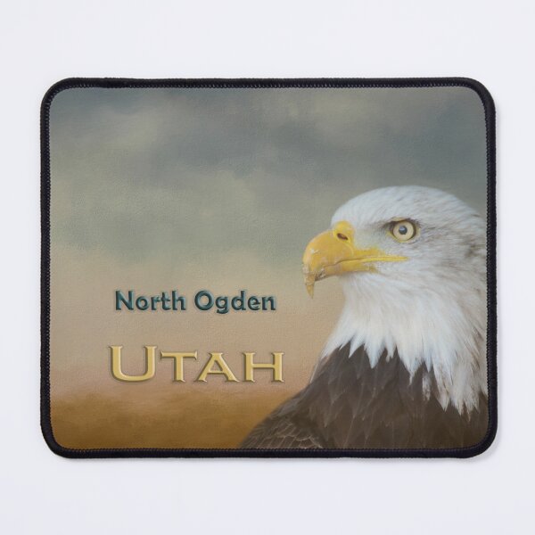 Item preview, Bald Eagle North Ogden Utah designed and sold by Elisabeth Lucas.