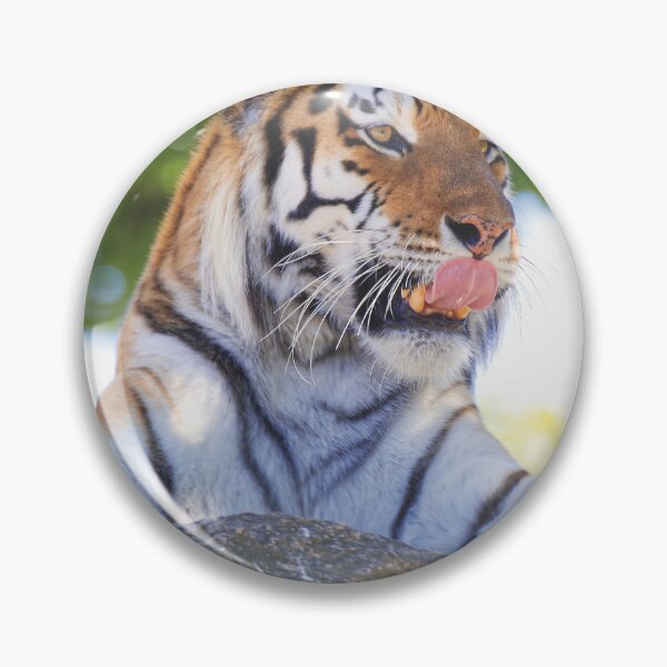 Item preview, Tiger on the rocks  designed and sold by Willbadmanphoto.