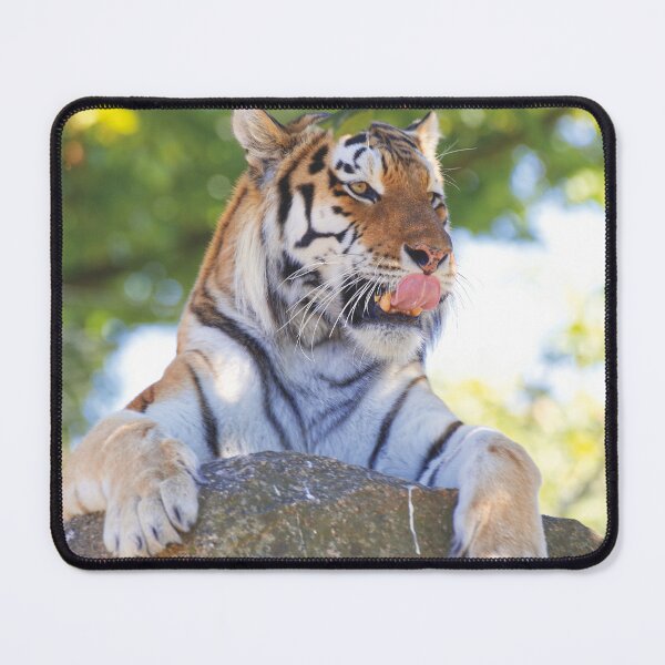 Item preview, Tiger on the rocks designed and sold by Willbadmanphoto.