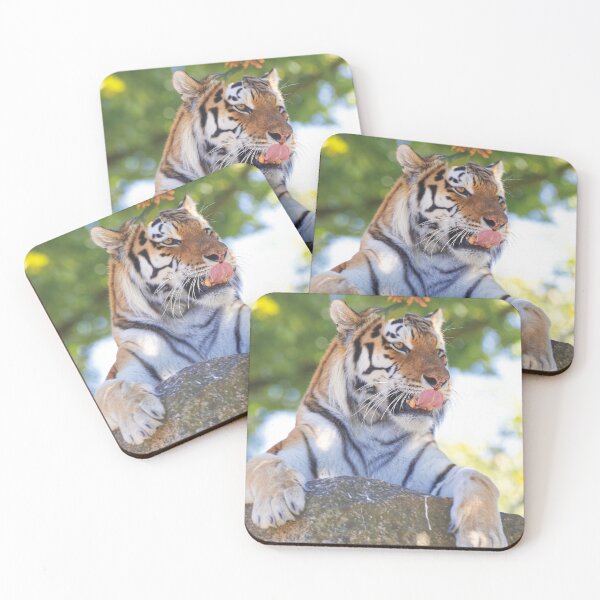 Item preview, Tiger on the rocks  designed and sold by Willbadmanphoto.