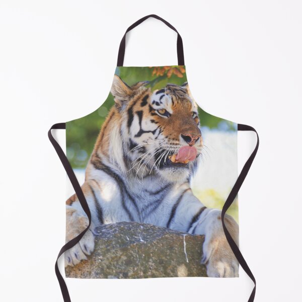 Item preview, Tiger on the rocks designed and sold by Willbadmanphoto.