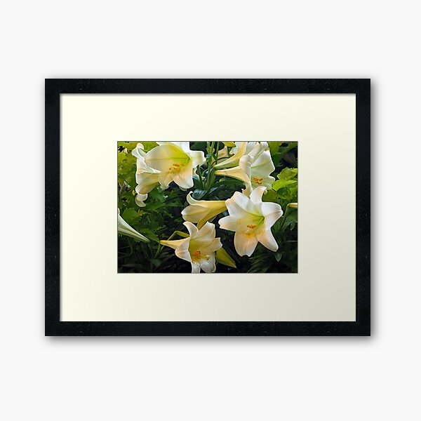 Item preview, Easter Lilies 46 designed and sold by Strawflower Oasis.