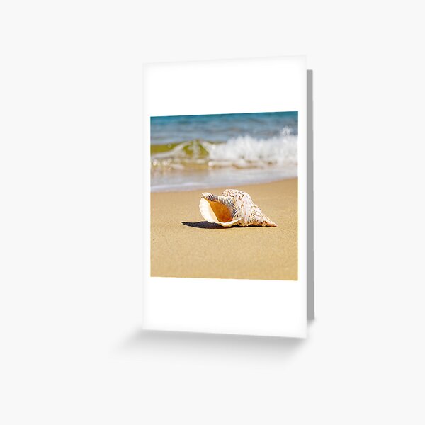 Item preview, Shell 02 designed and sold by GaryParnell.