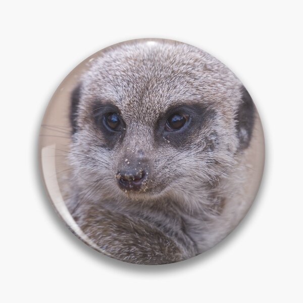 Item preview, Meerkat on lookout  designed and sold by Willbadmanphoto.