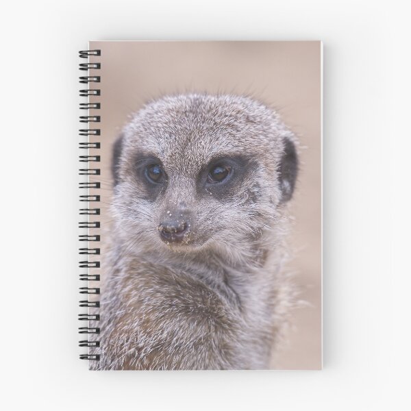 Item preview, Meerkat on lookout  designed and sold by Willbadmanphoto.