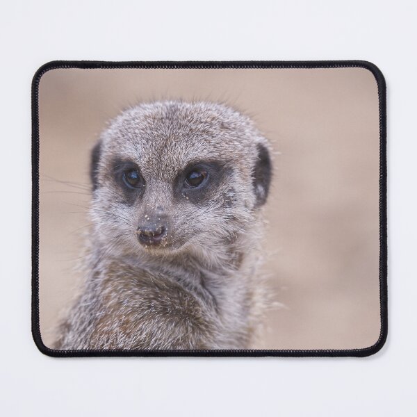 Item preview, Meerkat on lookout  designed and sold by Willbadmanphoto.