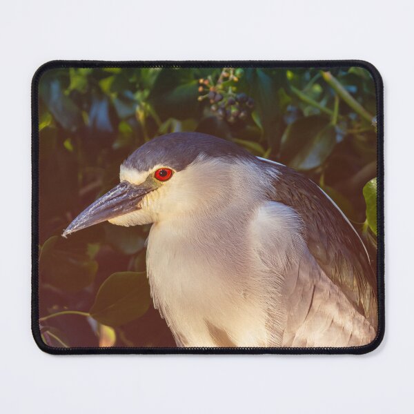 Item preview, Red-eyed designed and sold by jvnimages.