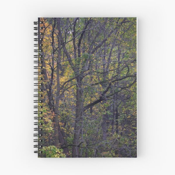 Item preview, Color Changes designed and sold by SRosuphotos.