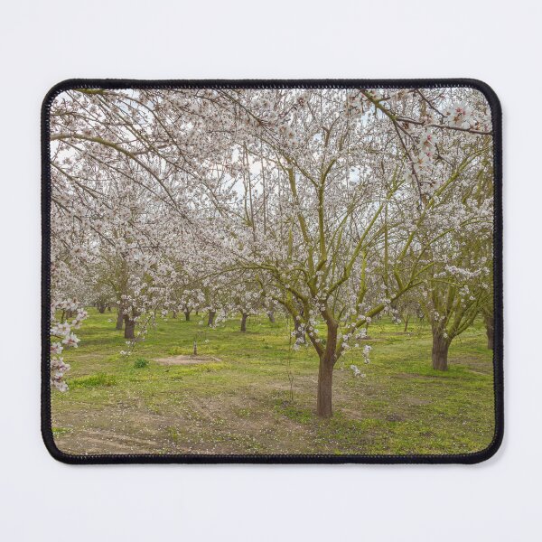Item preview, Blooming Almond designed and sold by jvnimages.