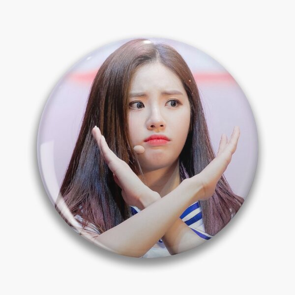 Item preview, fromis9 megan/jiwon designed and sold by shaion321xd.
