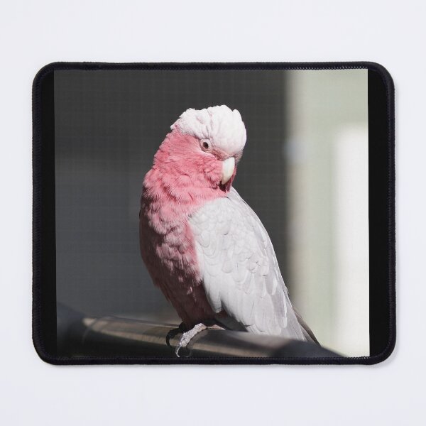 Item preview, Pink Galah Portrait designed and sold by Dragonsfield.