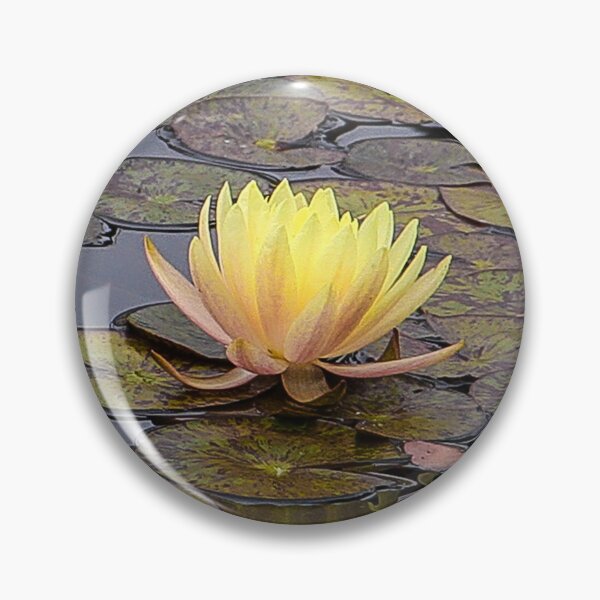 Item preview, Lily Pond Beauties designed and sold by heatherfriedman.