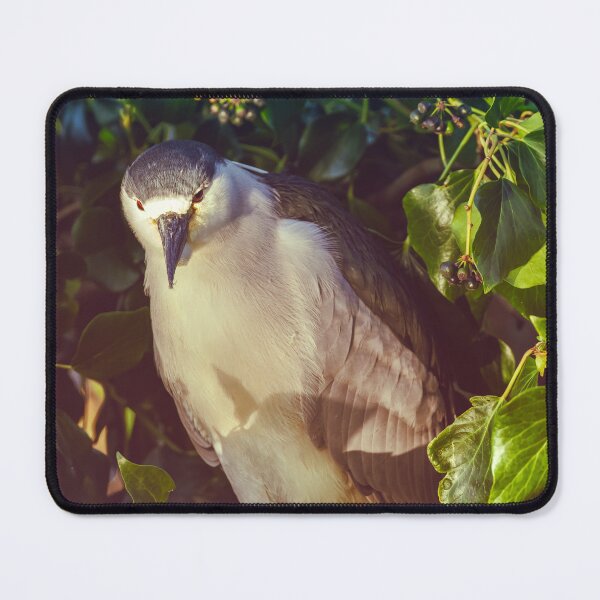 Item preview, Straight Look designed and sold by jvnimages.