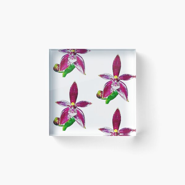 Item preview, Phalaenopsis cornu-cervi RED orchid watercolor designed and sold by Floral-Art.