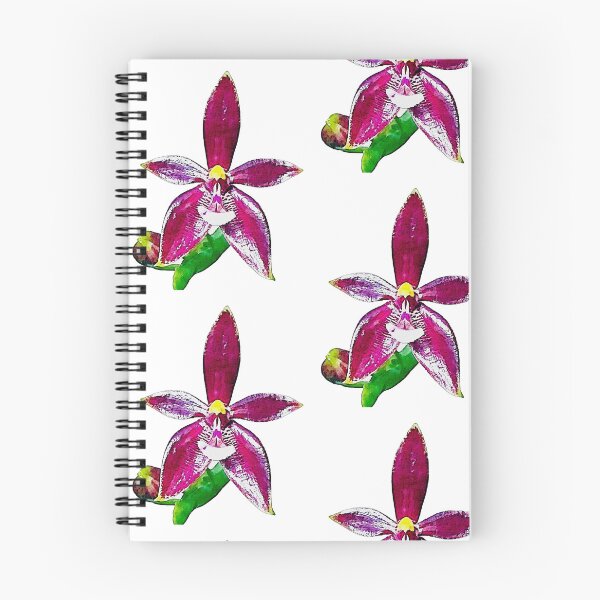 Item preview, Phalaenopsis cornu-cervi RED orchid watercolor designed and sold by Floral-Art.