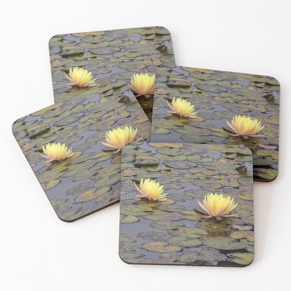 Item preview, Lily Pond Beauties designed and sold by heatherfriedman.