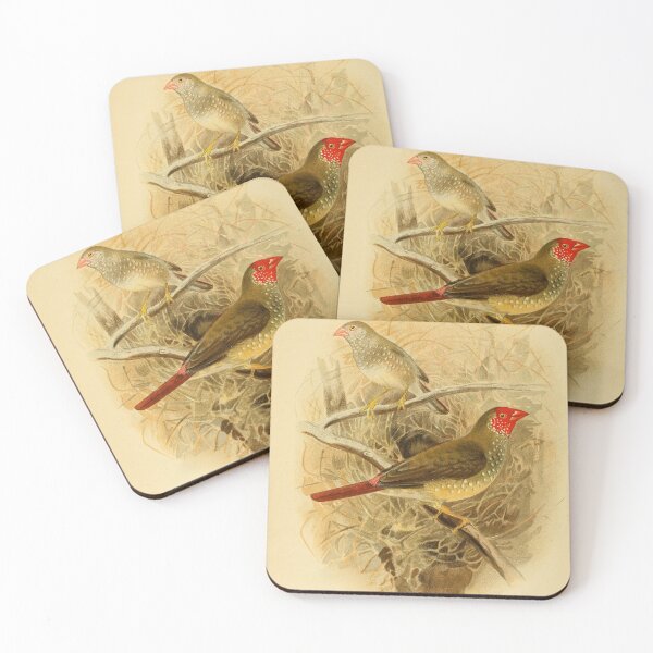 Item preview, Common Rufous Tailed Finch designed and sold by laguitan10.