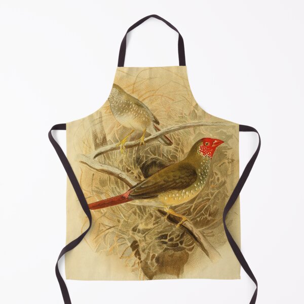 Item preview, Common Rufous Tailed Finch designed and sold by laguitan10.