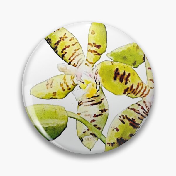 Item preview, Phalaenopsis fasciata orchid watercolor designed and sold by Floral-Art.