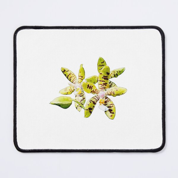 Item preview, Phalaenopsis fasciata orchid watercolor designed and sold by Floral-Art.
