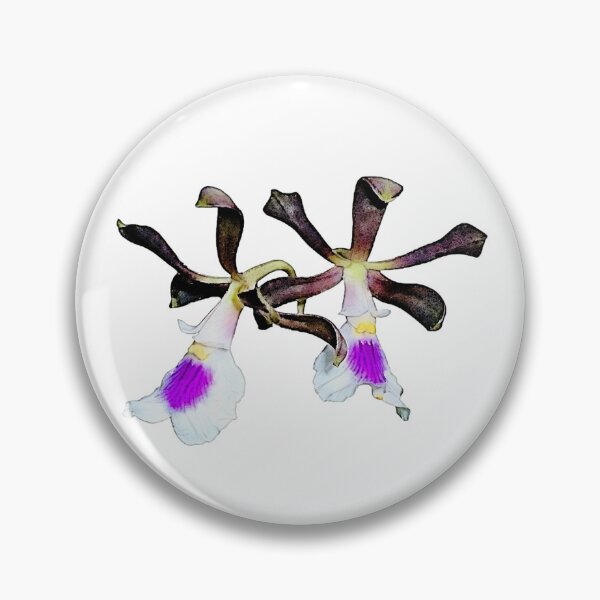 Item preview, Encyclia cordigera orchid watercolor designed and sold by Floral-Art.