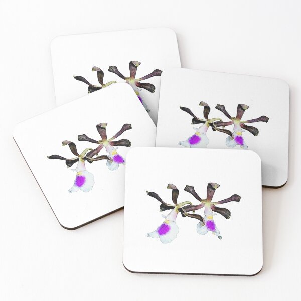 Item preview, Encyclia cordigera orchid watercolor designed and sold by Floral-Art.