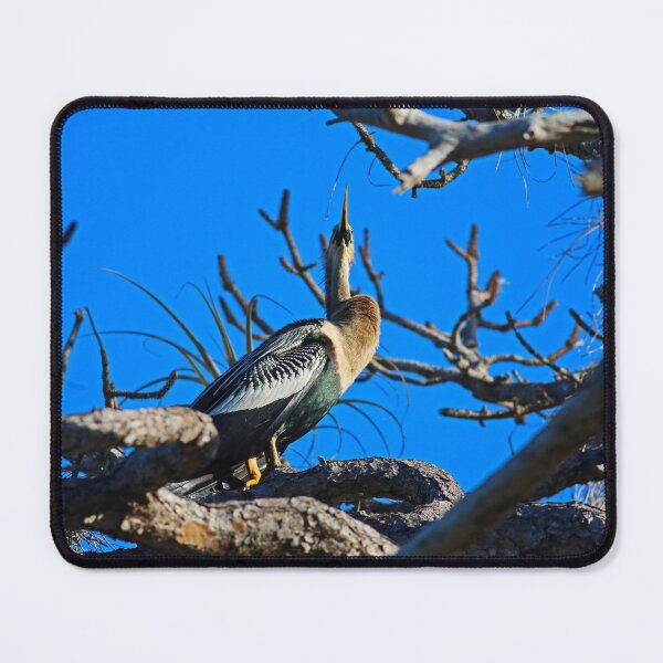 Item preview, An Armorous Anhinga designed and sold by Michiale.