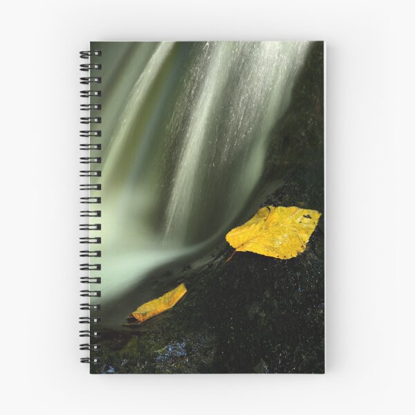 Item preview, Still Hanging On designed and sold by Gary L   Suddath.