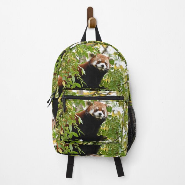 Item preview, Panda rojo en el zoológico de Cincinnati designed and sold by Zoo and Nature Photography by Karie.