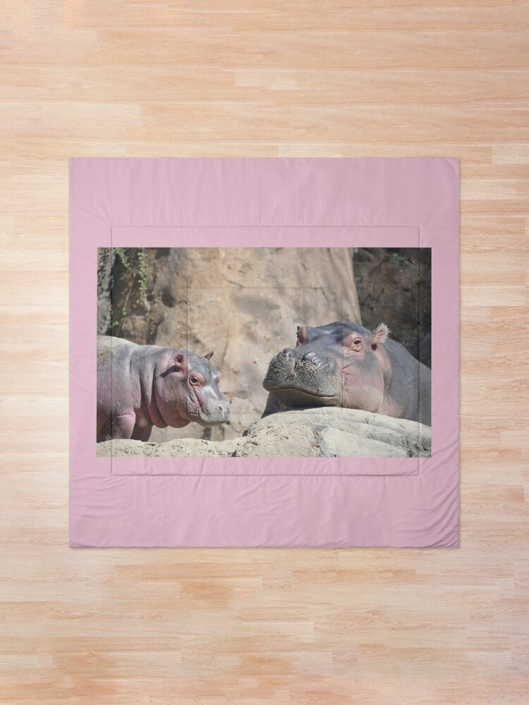 Alternate view of Fritz and Fiona the Hippos at the Cincinnati Zoo Comforter