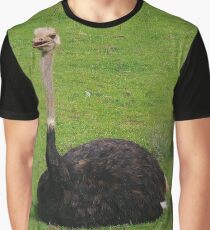 Strauß Grafik T-Shirt