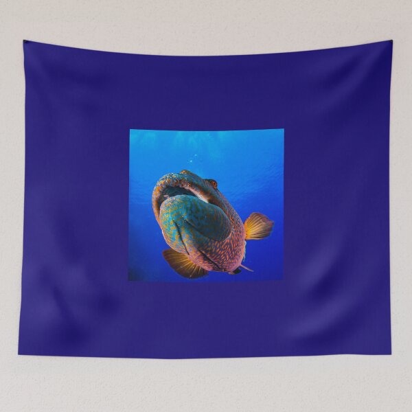 Item preview, Curious Napoleon up close designed and sold by derUrlauber.